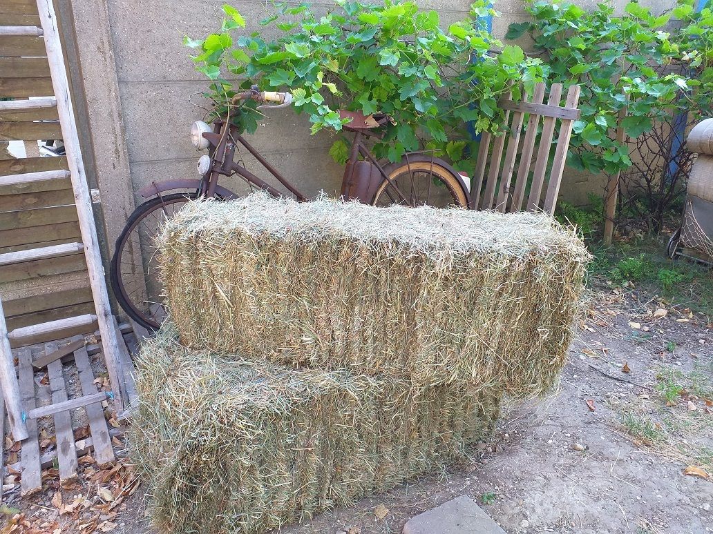 paille , foin , graines